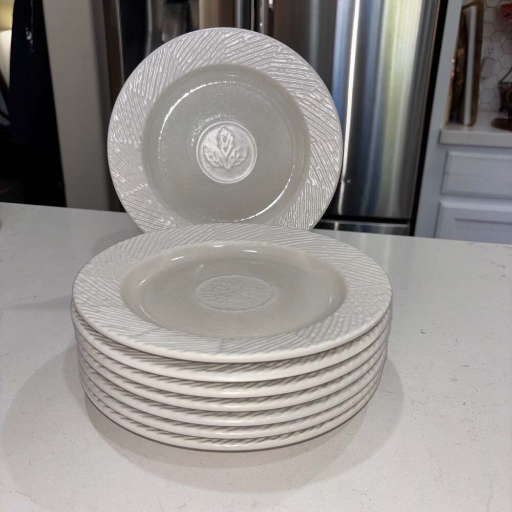 Pfaltzgraff Sierra White 8.5 Inch Salad Plates Set of 8